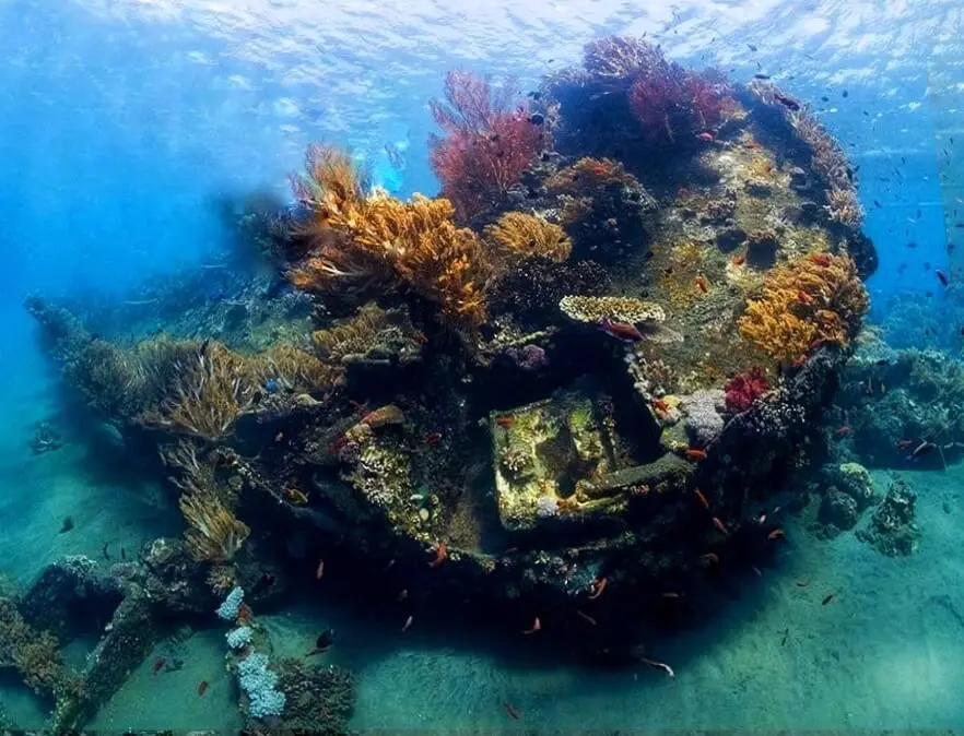 Japanese Shipwreck Point
