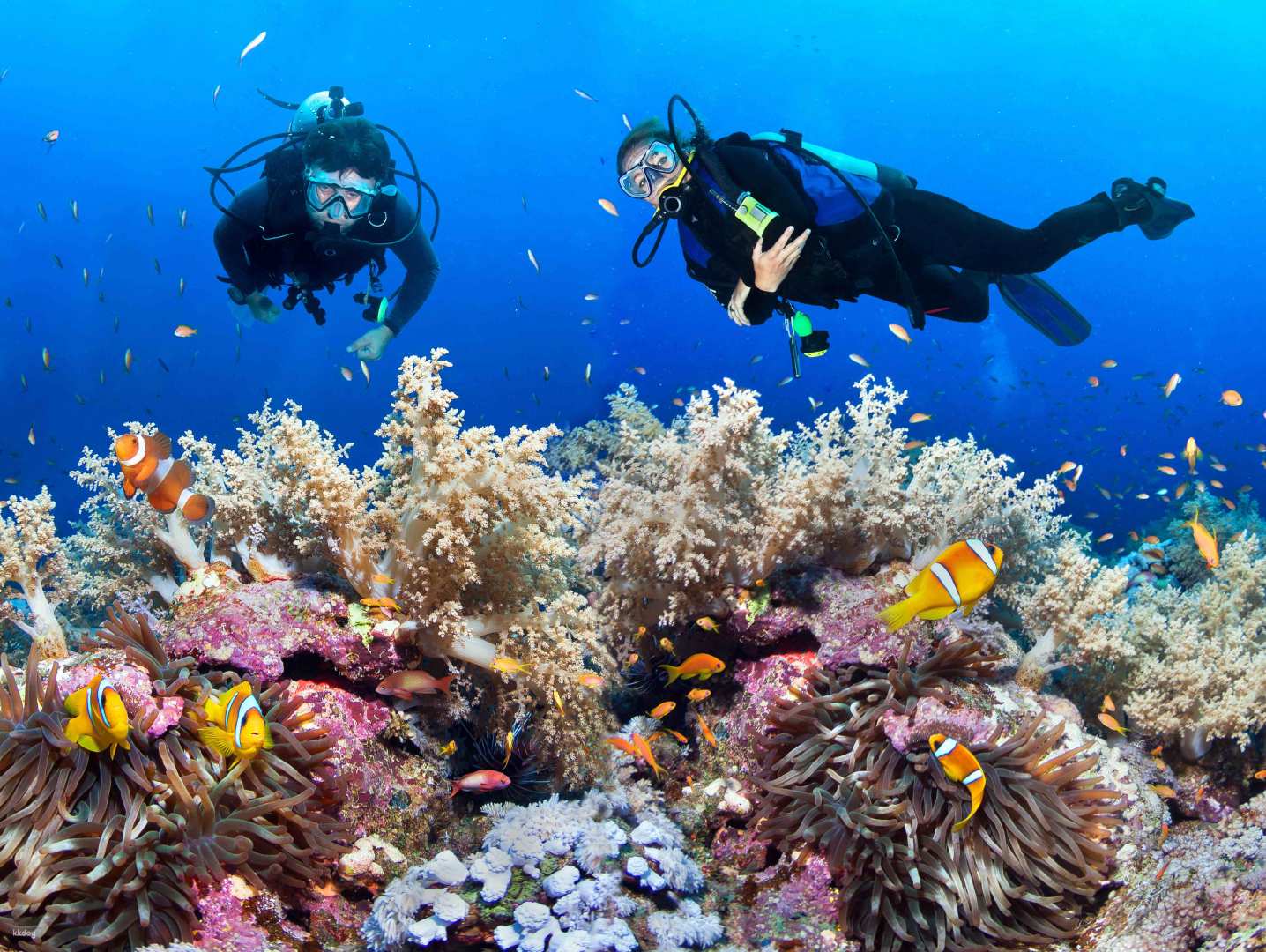 Try Scuba Diving Bali