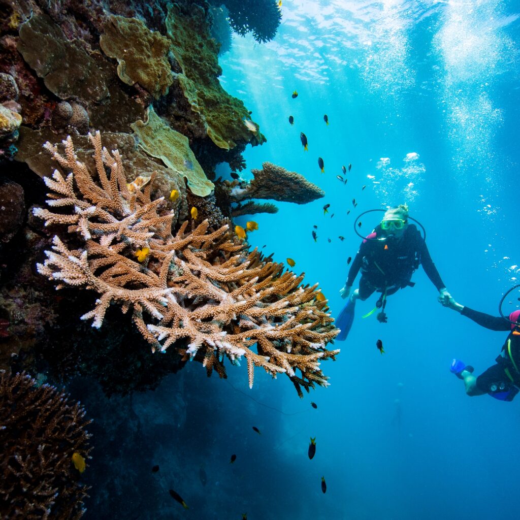 Hardy Reef