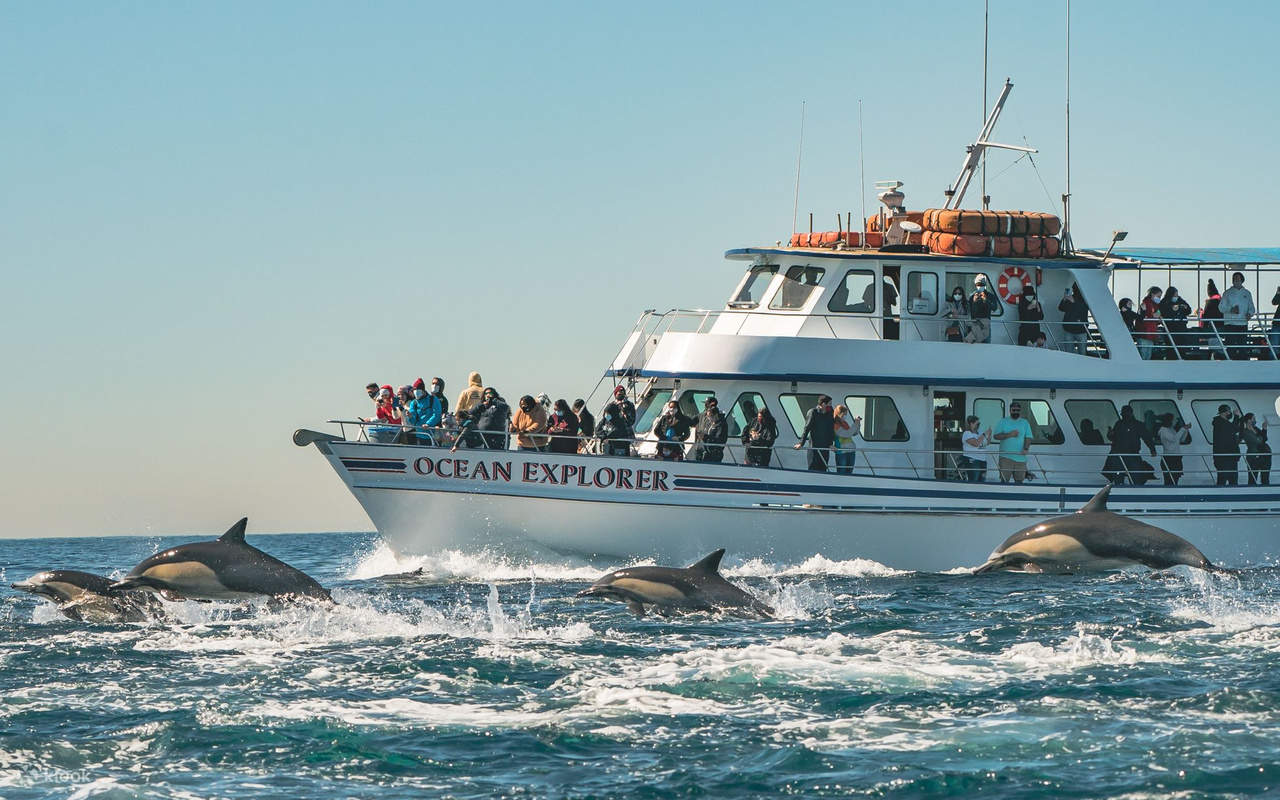 Ocean Explorer Bow
