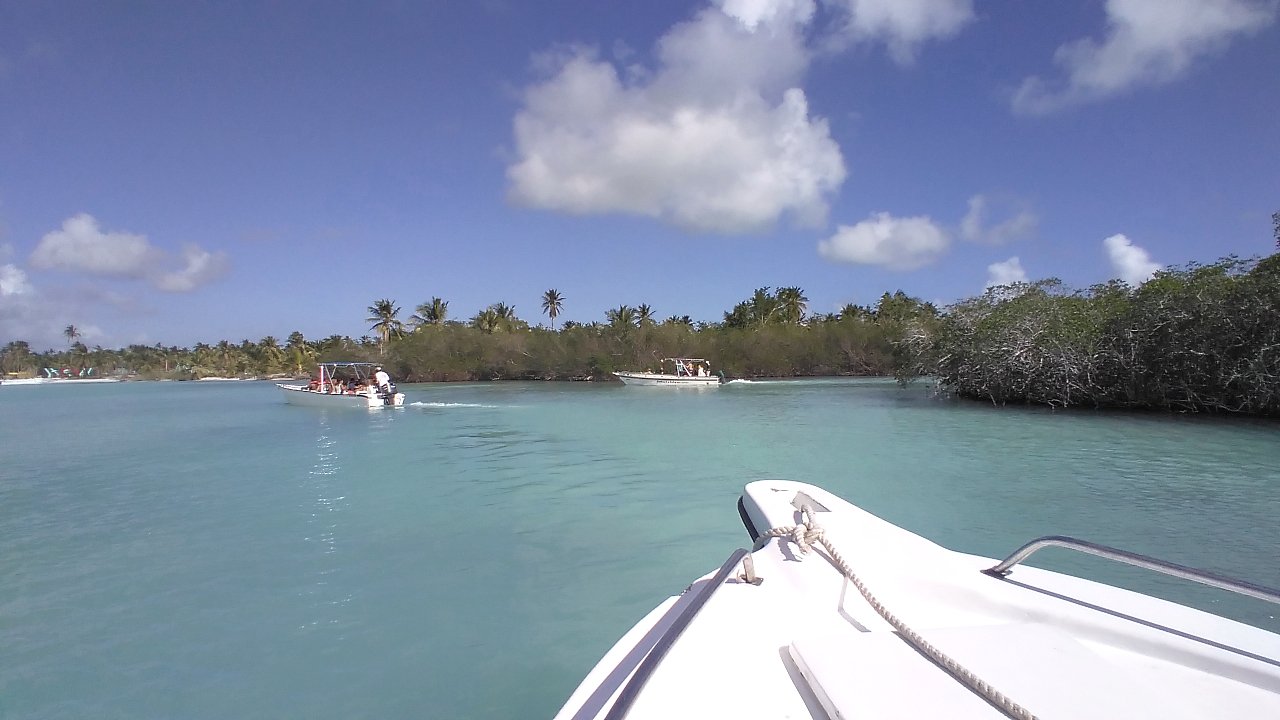 Saona Island Mangroves