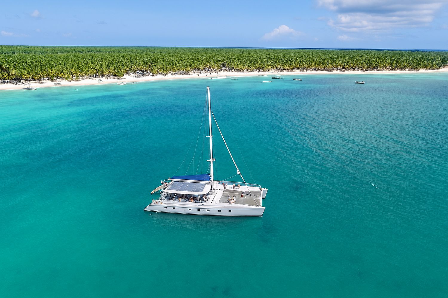 Saona Island Private Tour