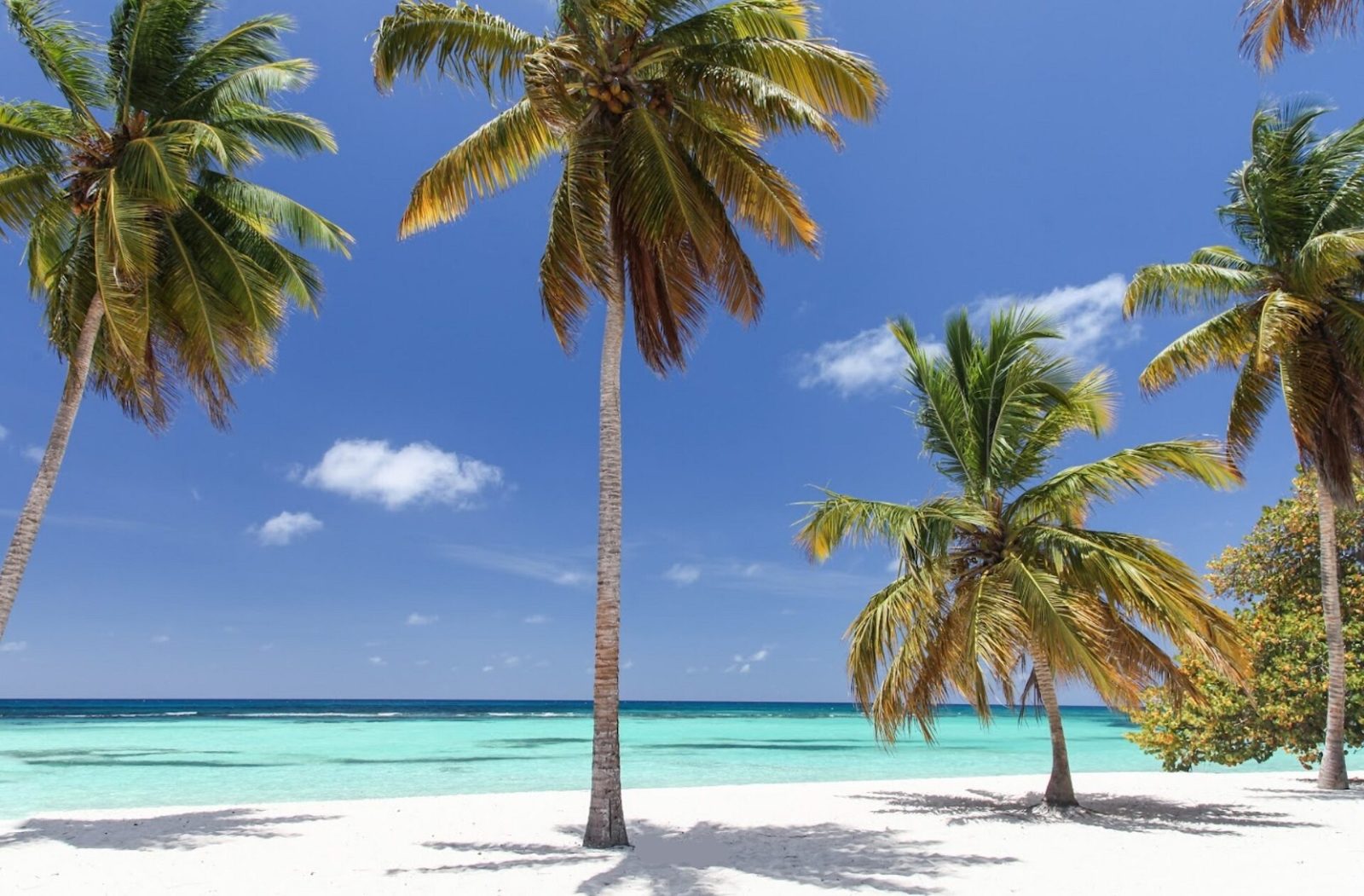 Canto de la Playa