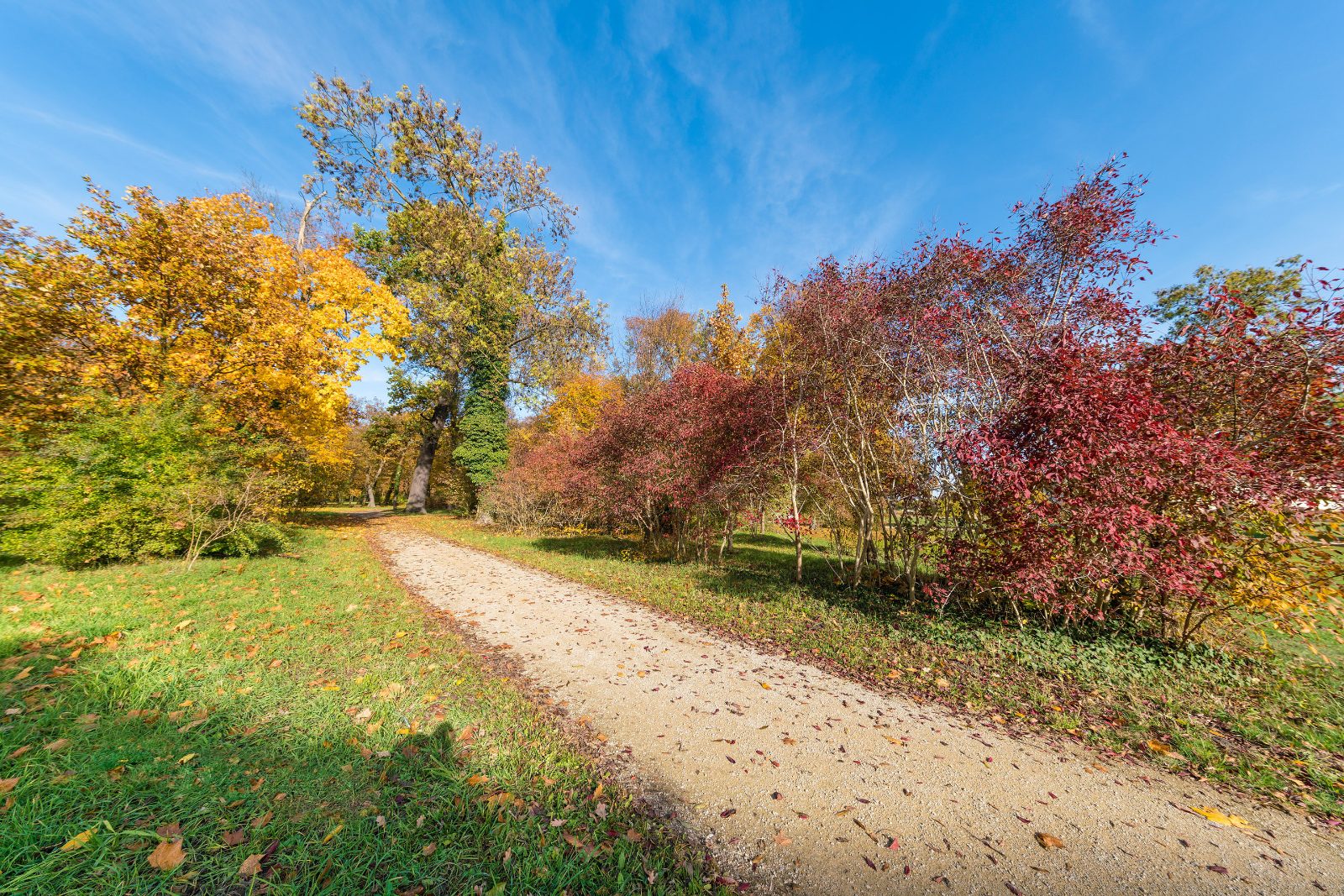 Schlosspark Oranienburg