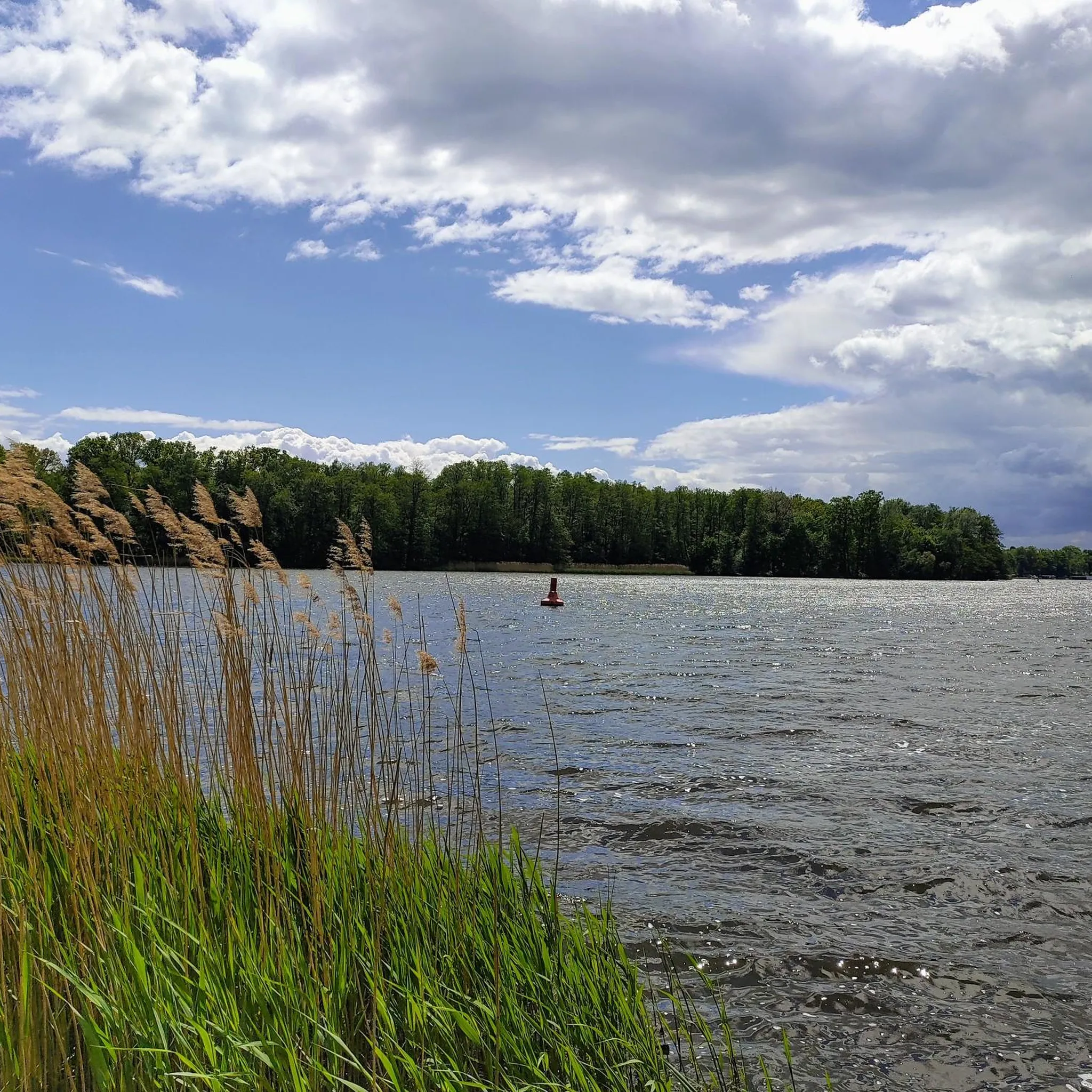 Lehnitzsee