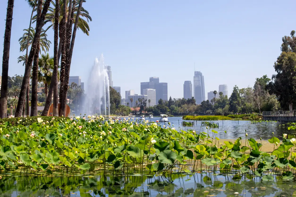 Echo Park Lake Swan Boats