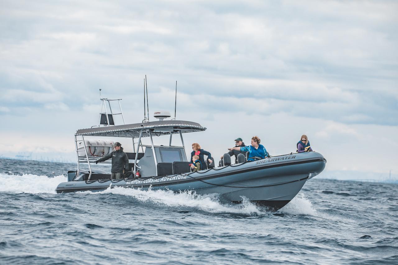 Rigid Inflatable Boat Bow