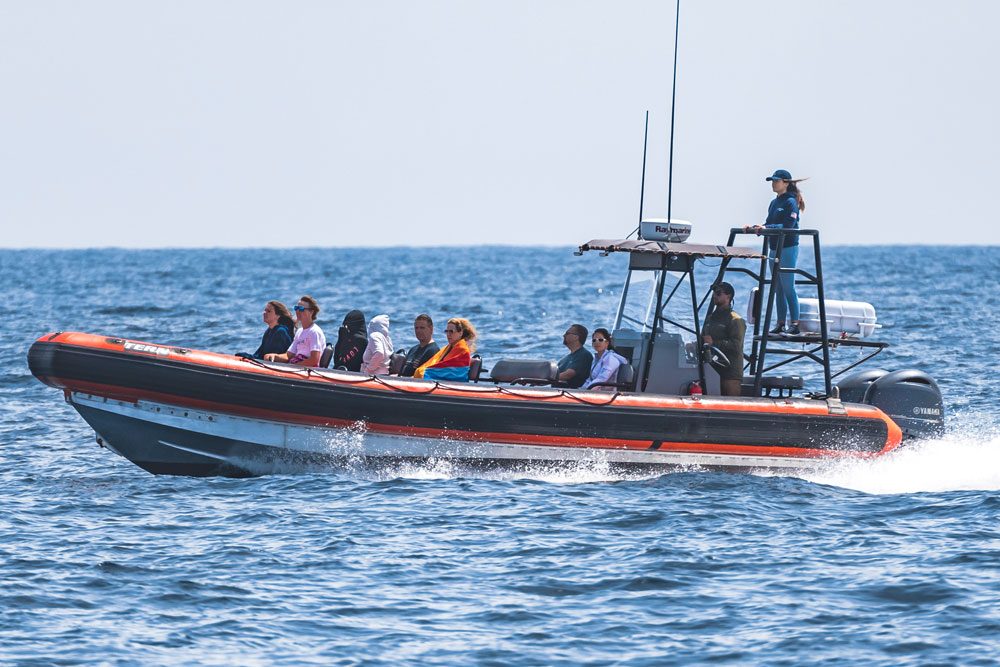 Hurricane Zodiac Cruiser