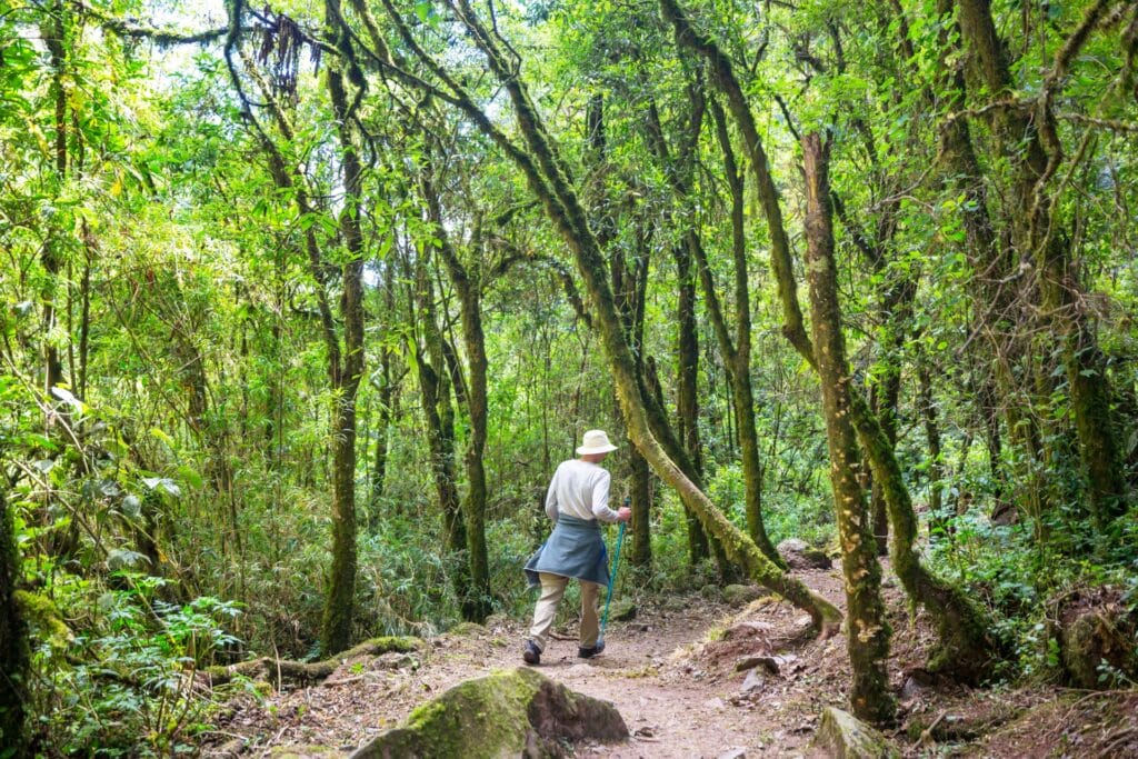Sierra Madre Trails