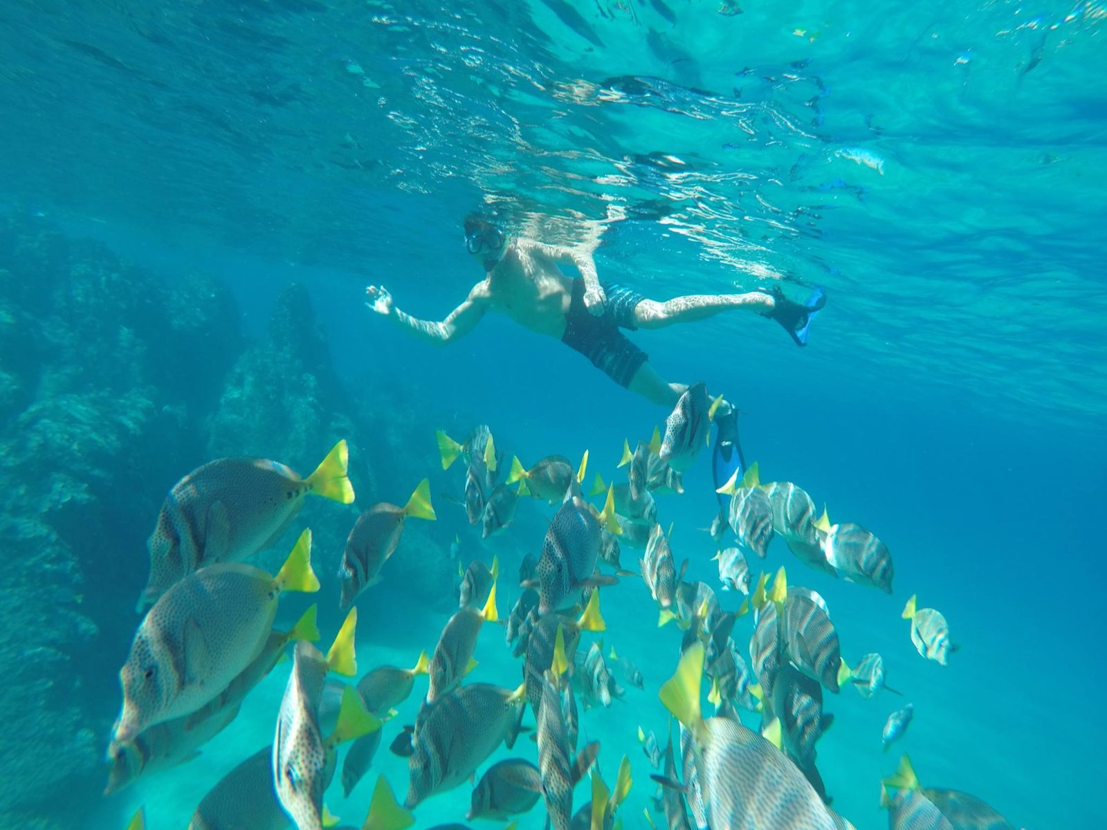 Snorkeling