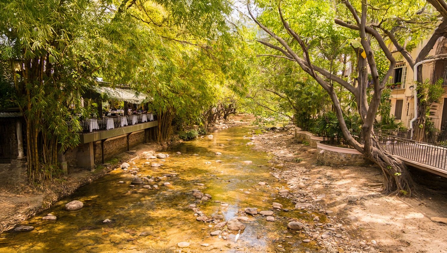 Cuale River Banks