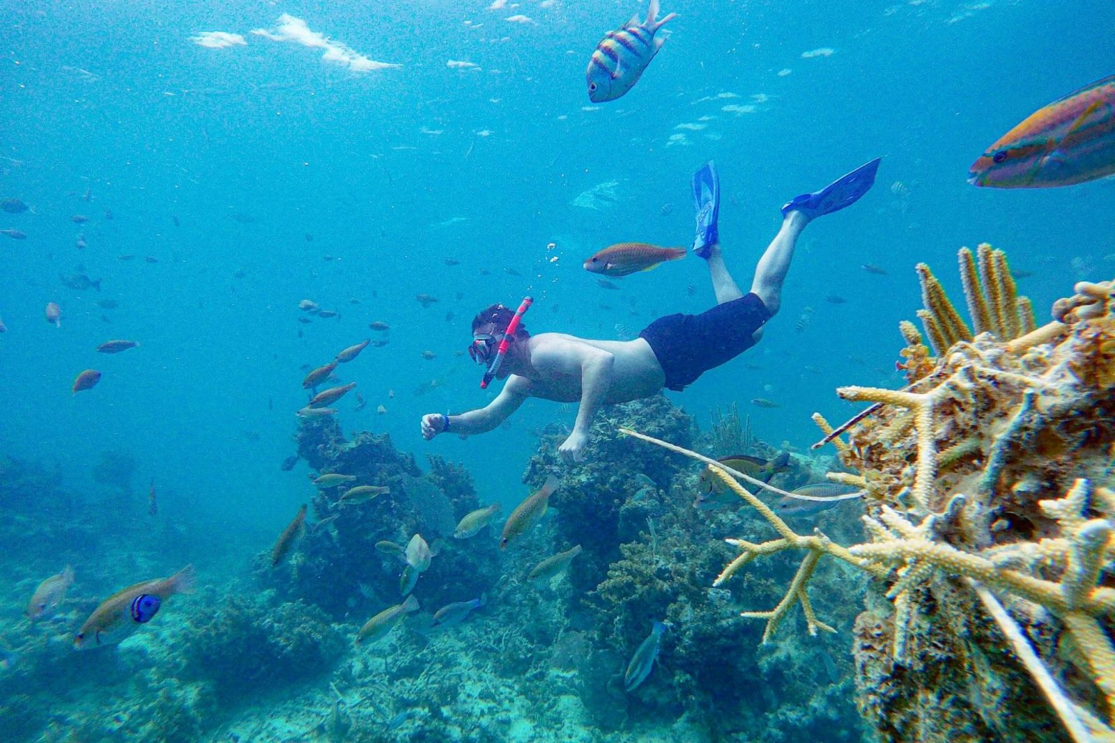 Cavernas Reef