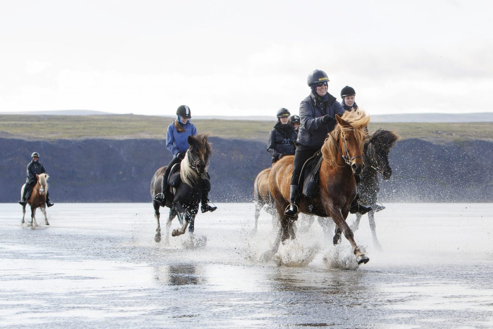 Iceland Horse Riding