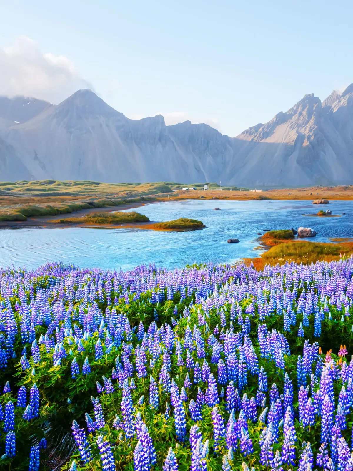 Hafnarfjörður Nature