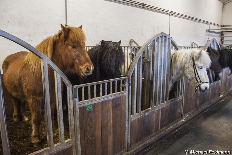 Stable Facilities