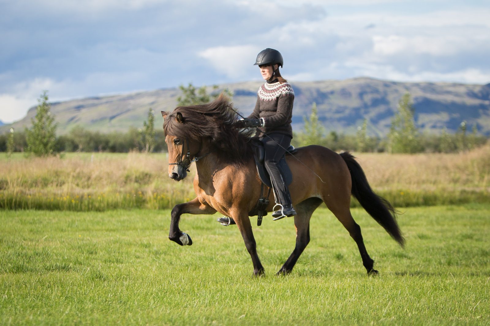 Tölt Riding Area