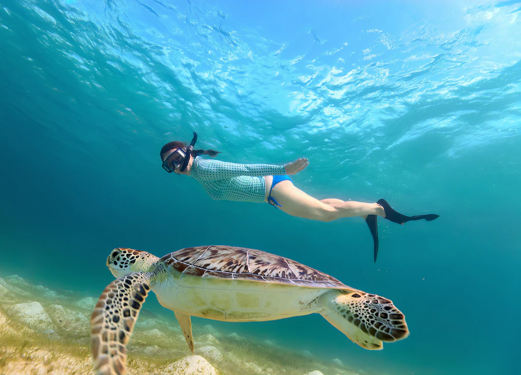 Barbados Snorkeling