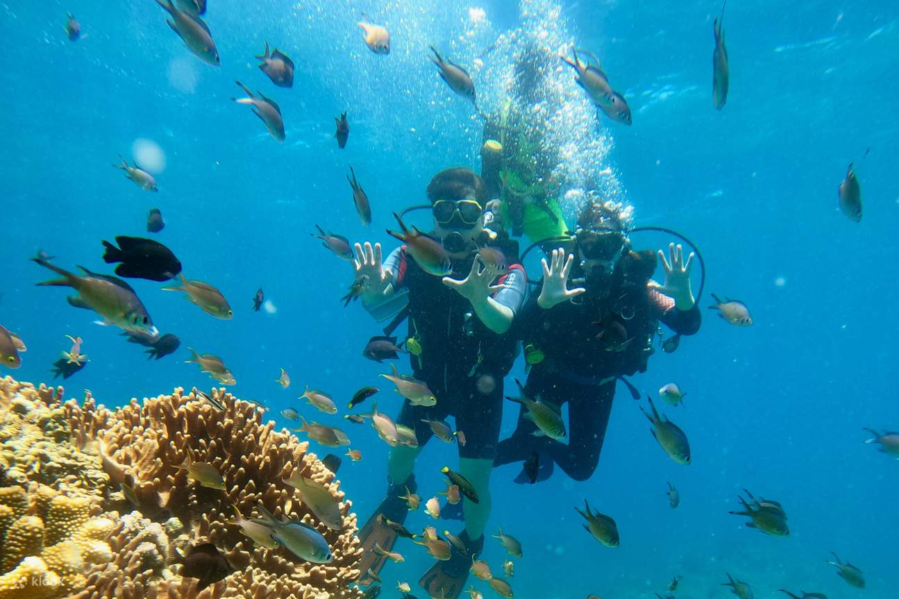 Boracay Scuba Diving