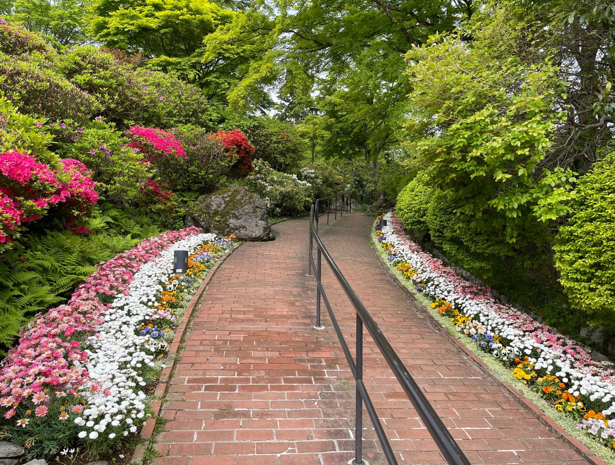 Tsubaki Garden Path