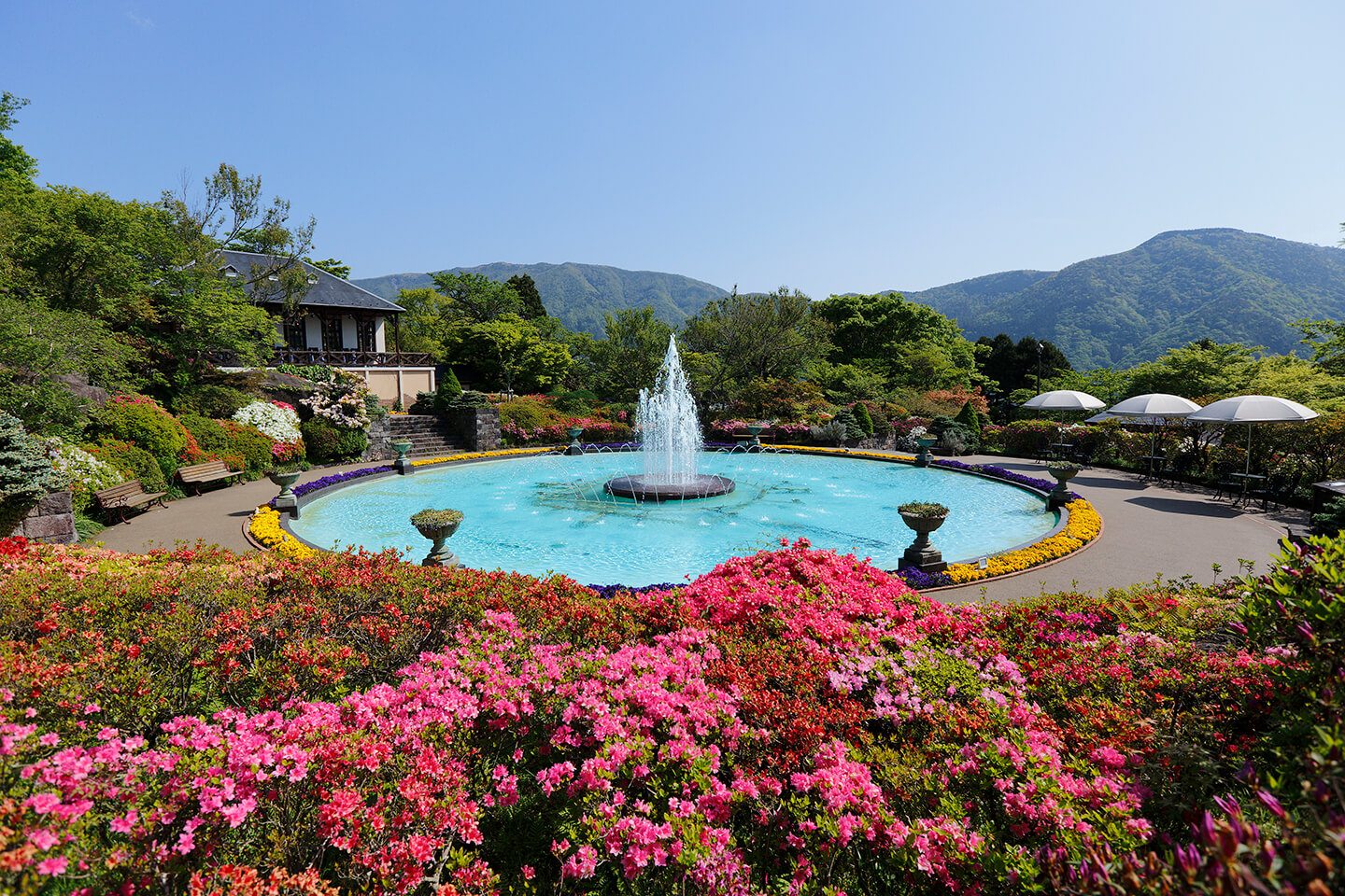 Flower Terrace