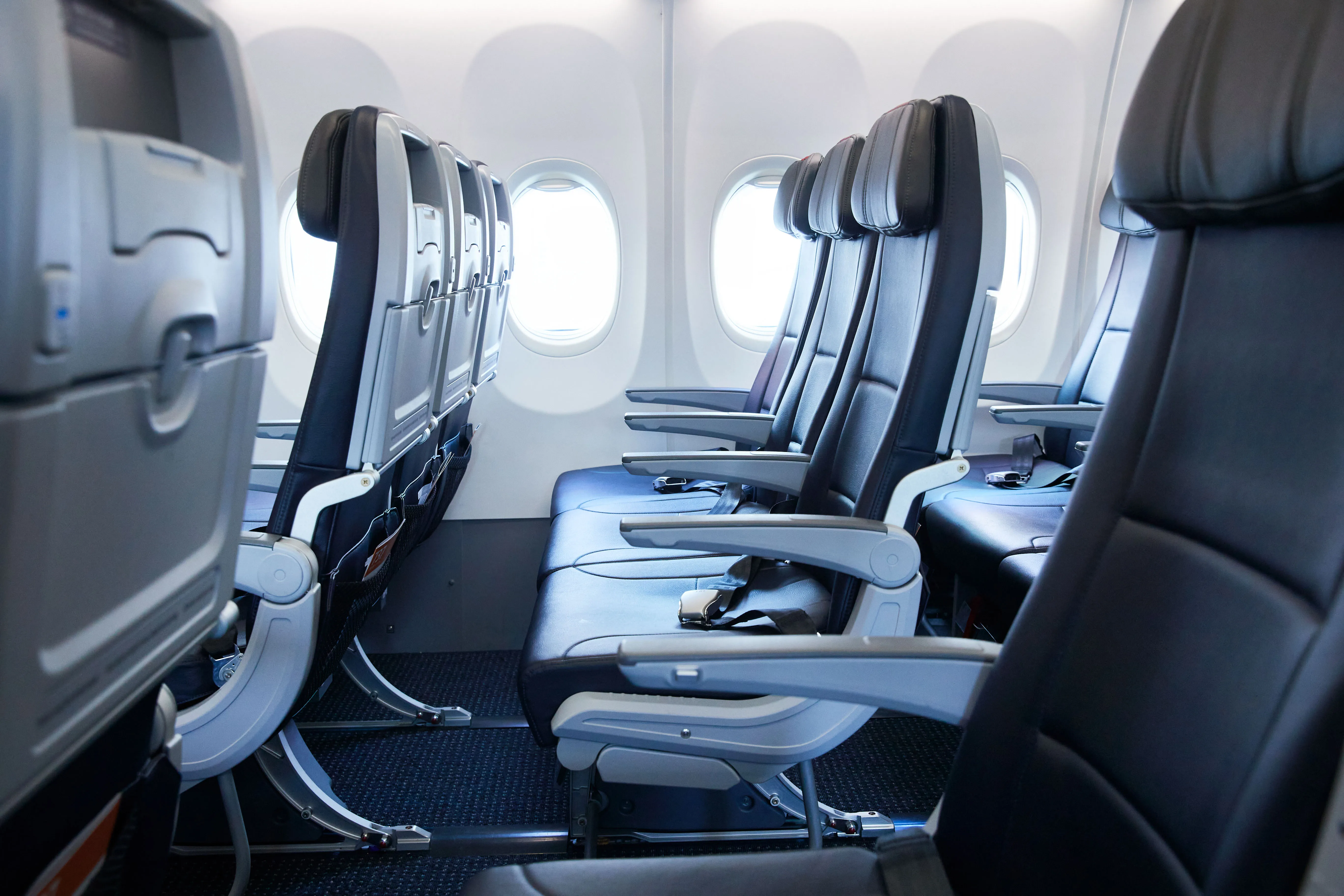 Main Cabin