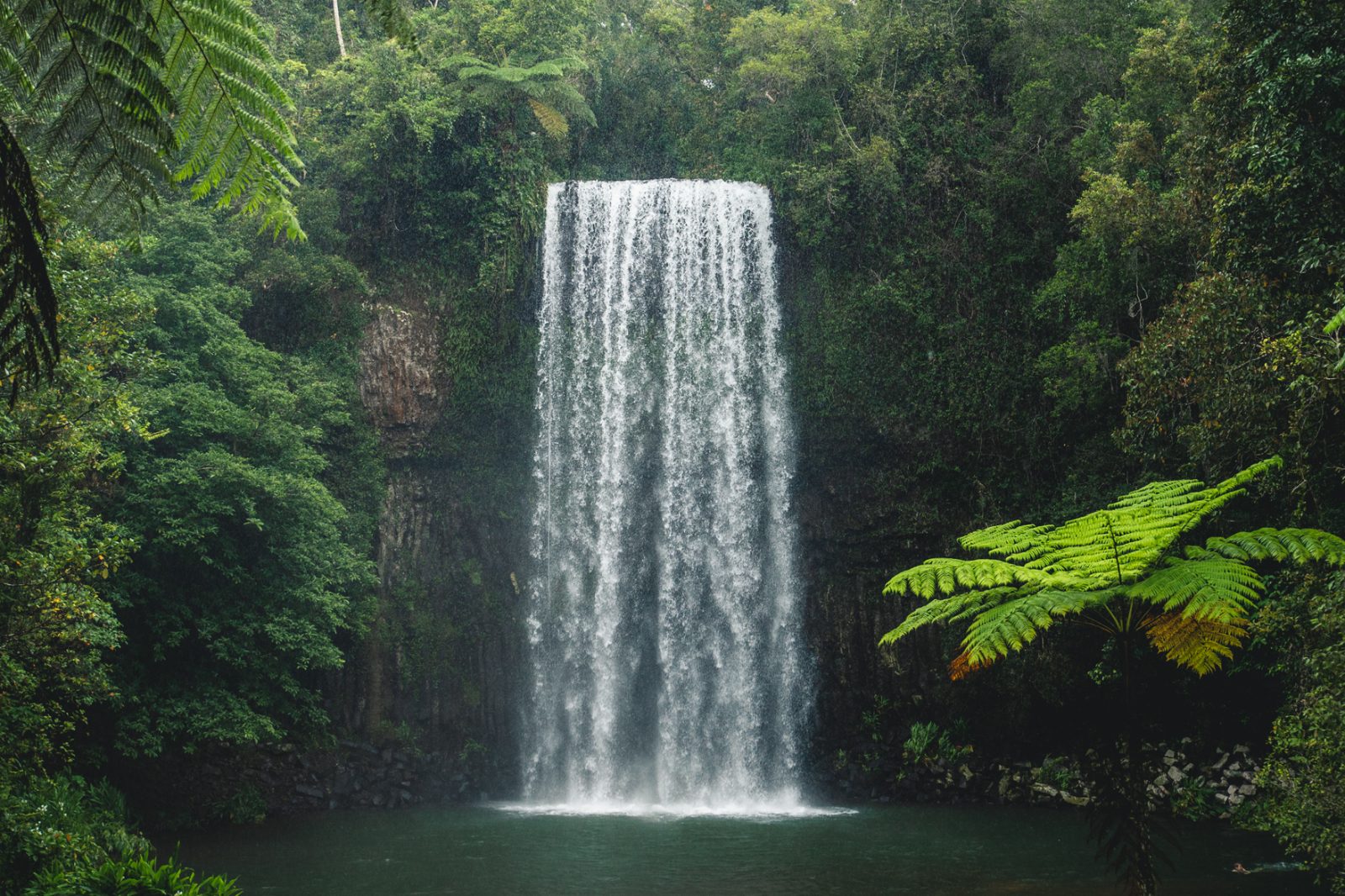 Millaa Millaa Falls