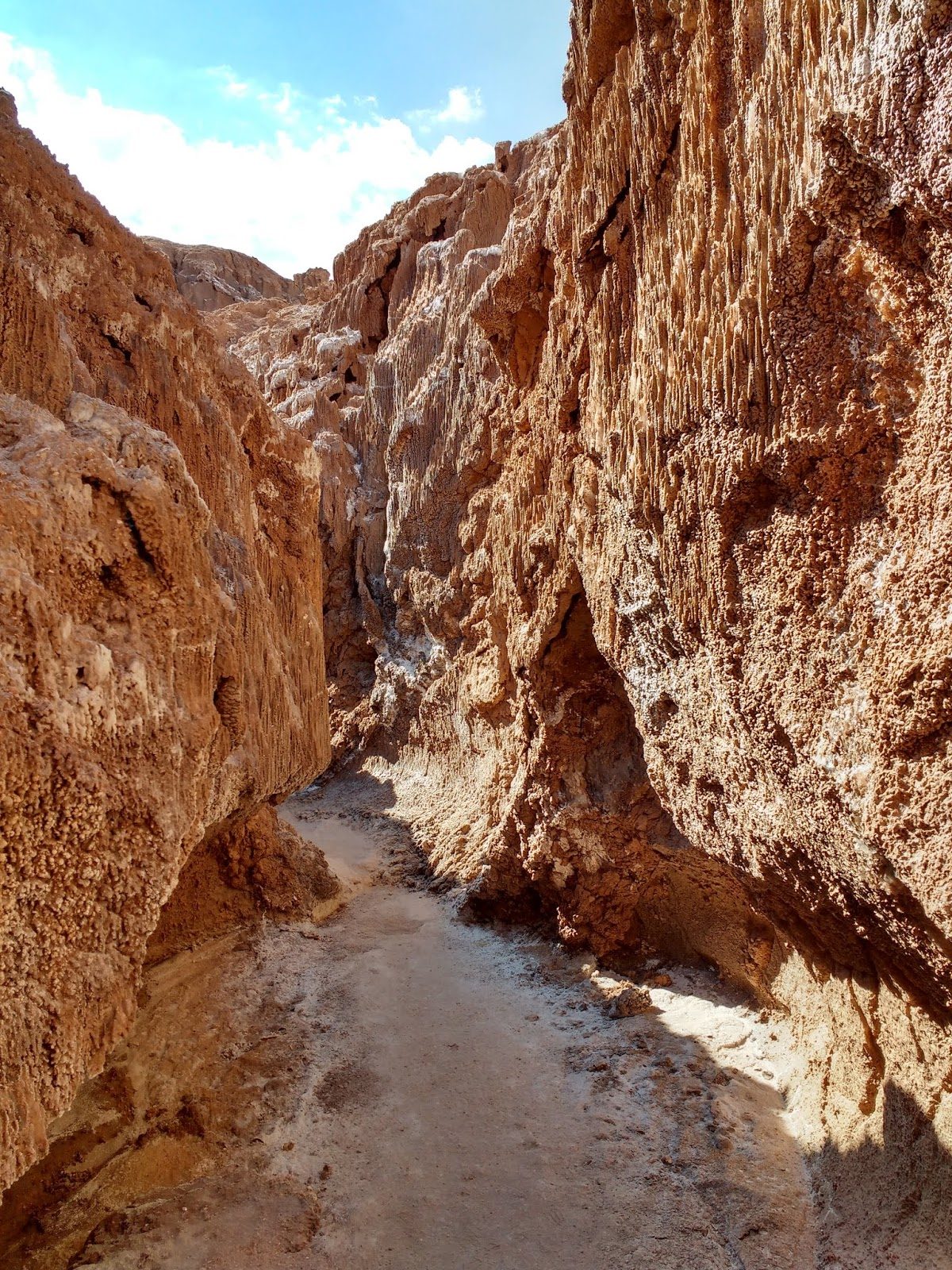 Salt Caves