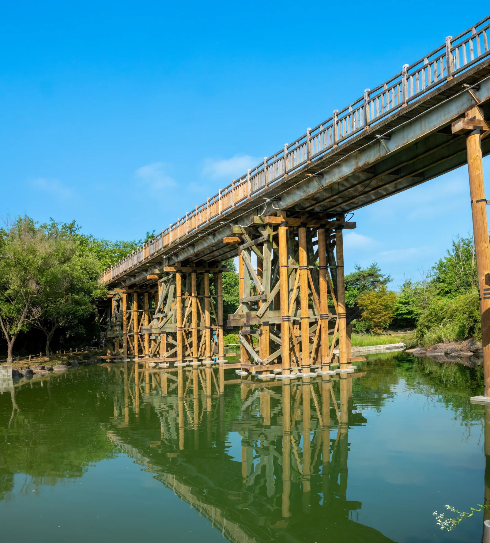 Bridge of Freedom
