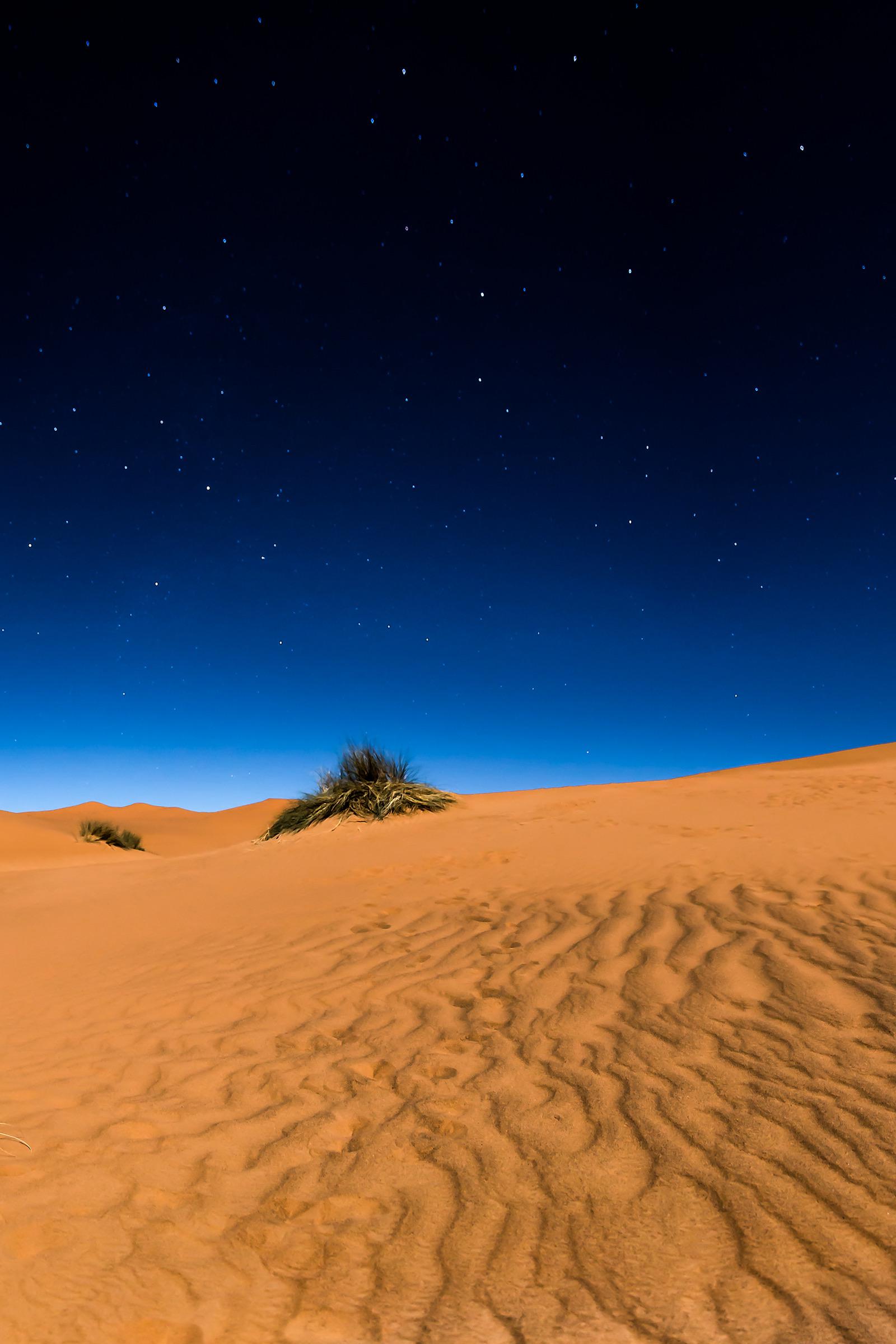 Sahara Desert Night Camp