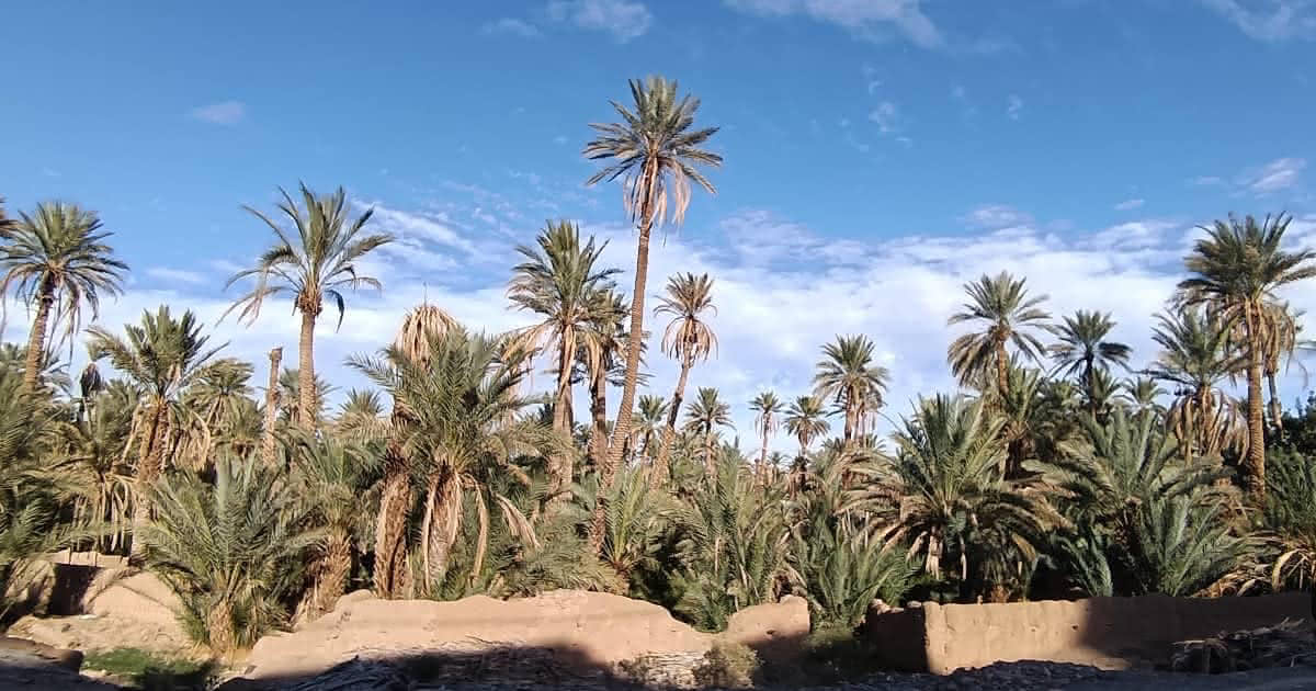 Draa Valley