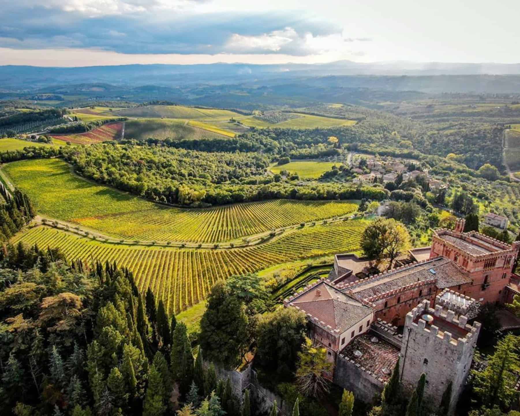 Chianti Vineyards