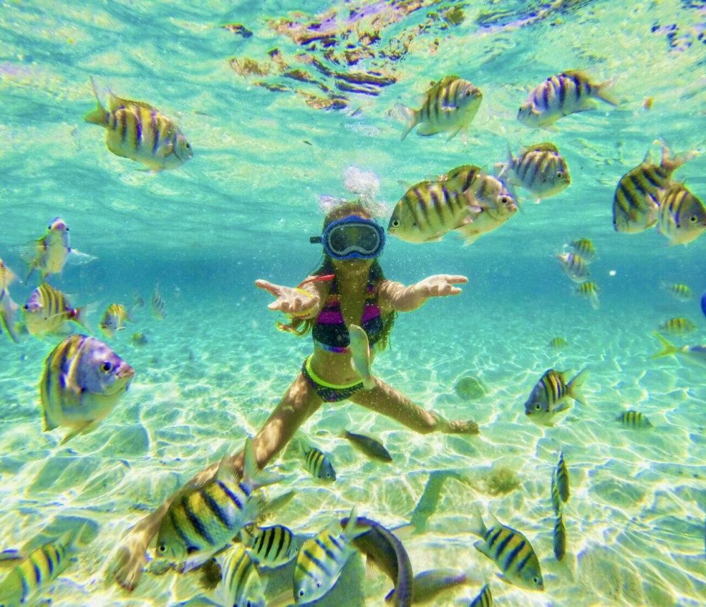 Shallow-Water Snorkeling Zone