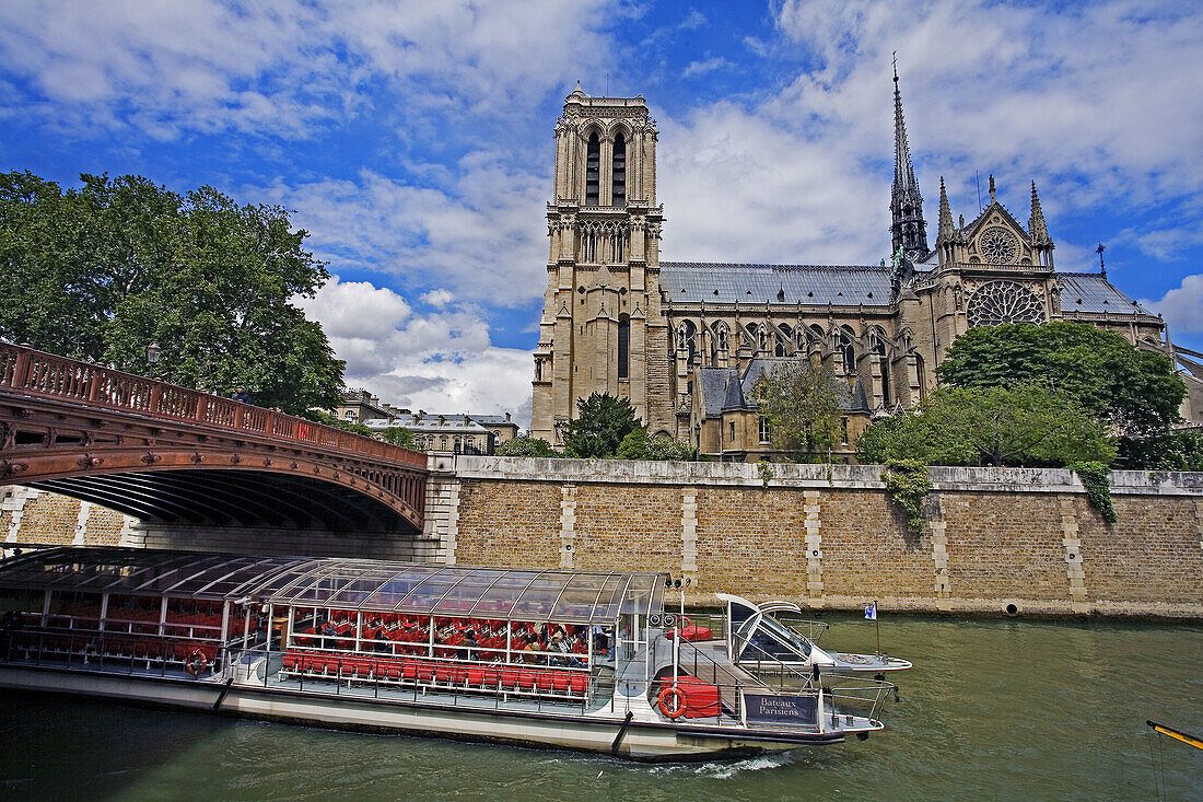 Notre-Dame Cathedral Rear View