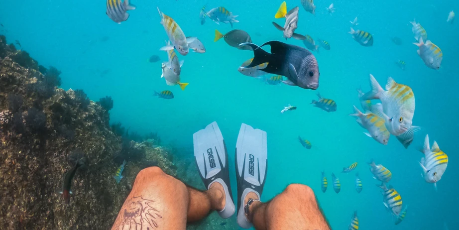 Snorkeling in Cabo San Lucas