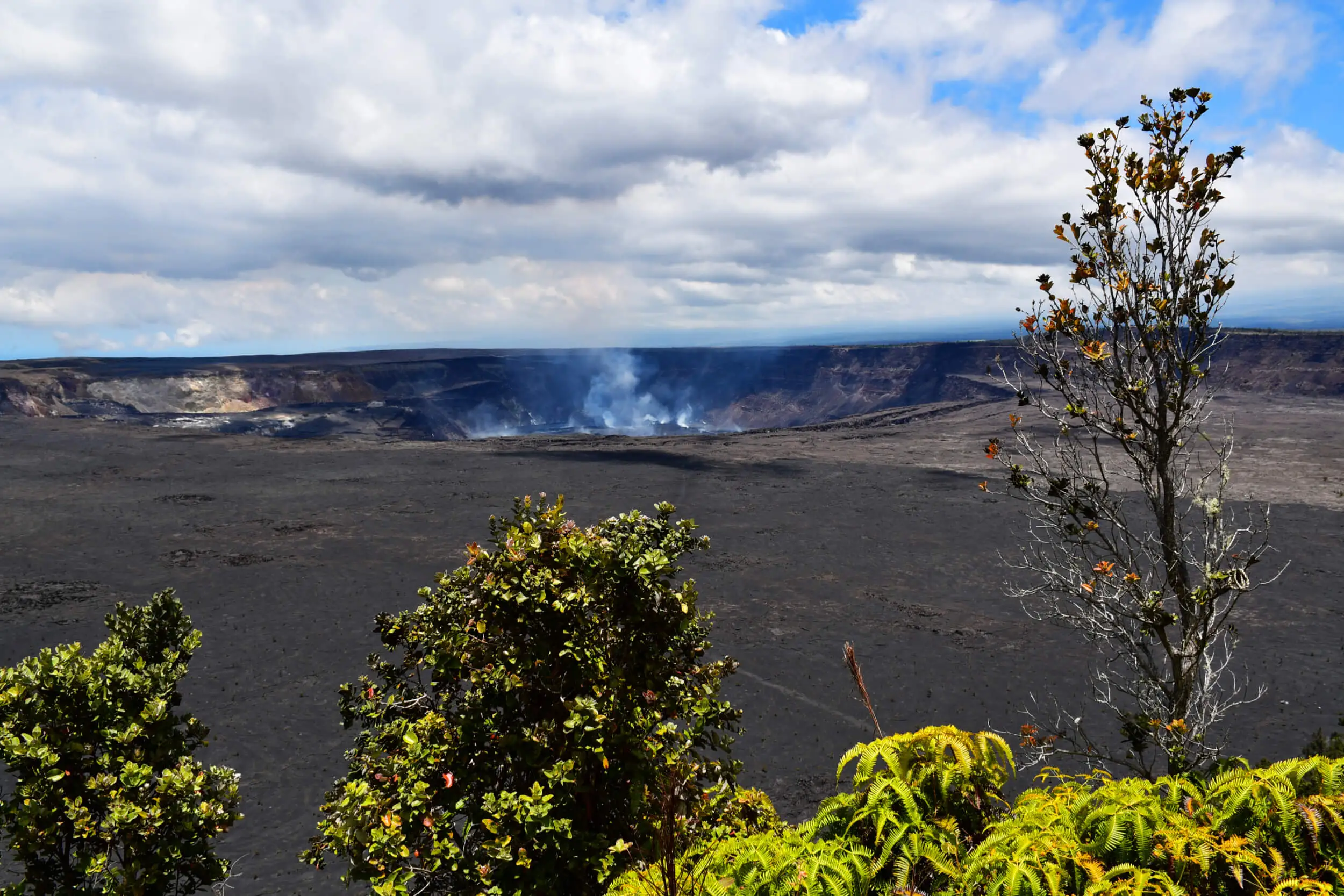Kilauea Tours