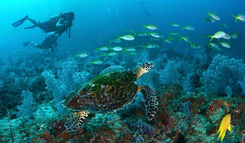 Koh Haa Lagoon