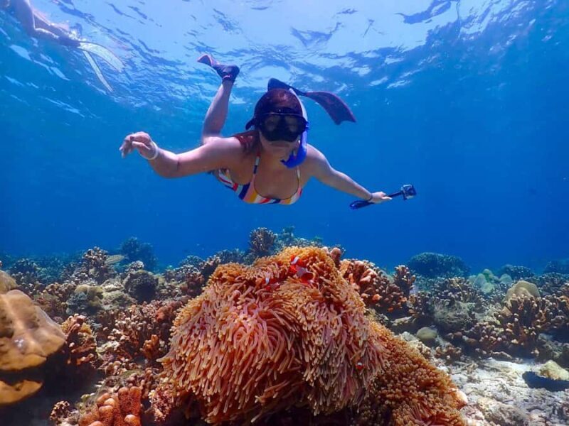 Koh Rok Reefs