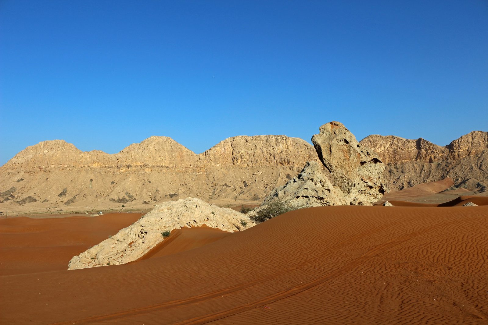 Camel Rock