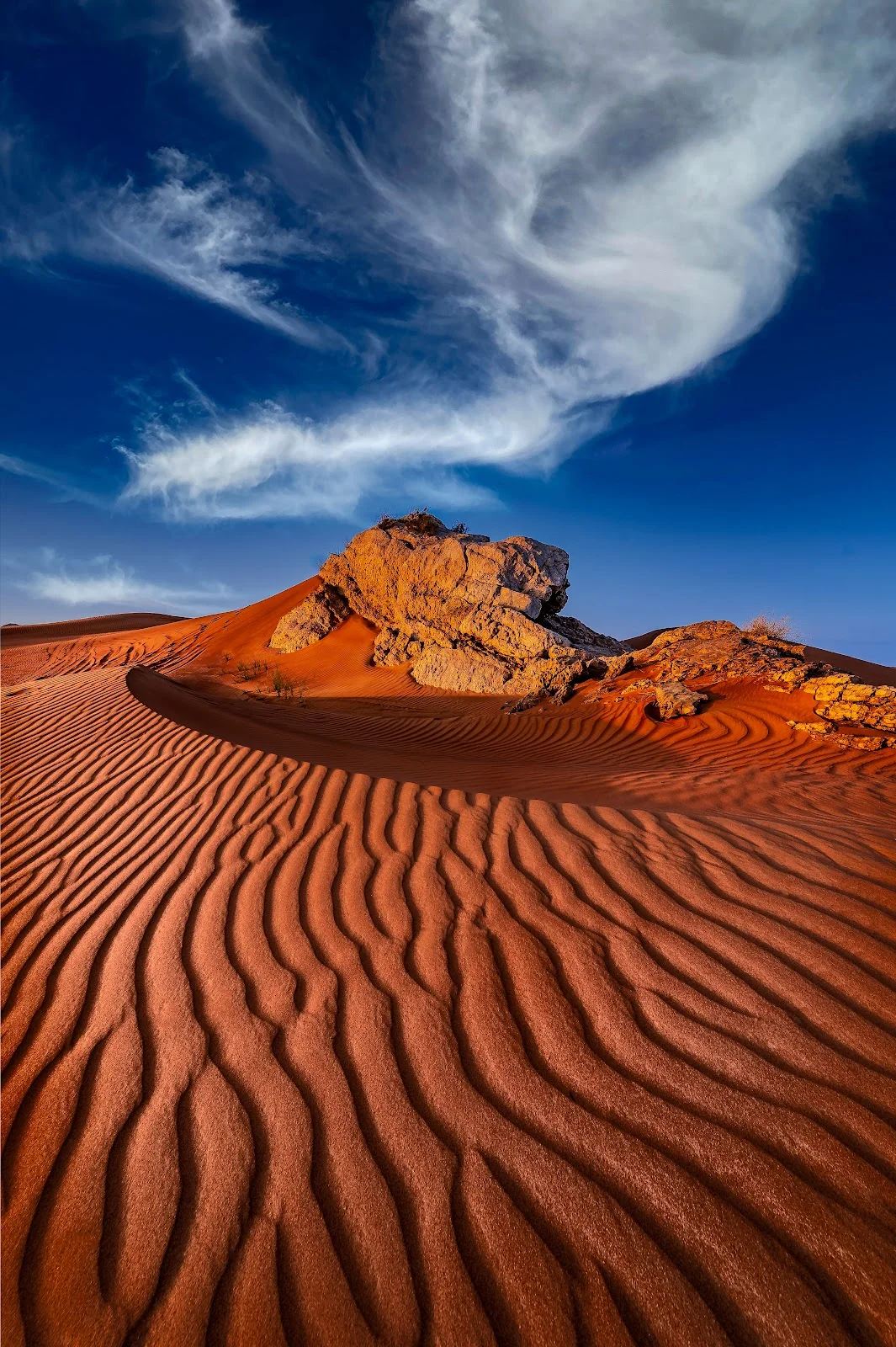 Desert Exploration