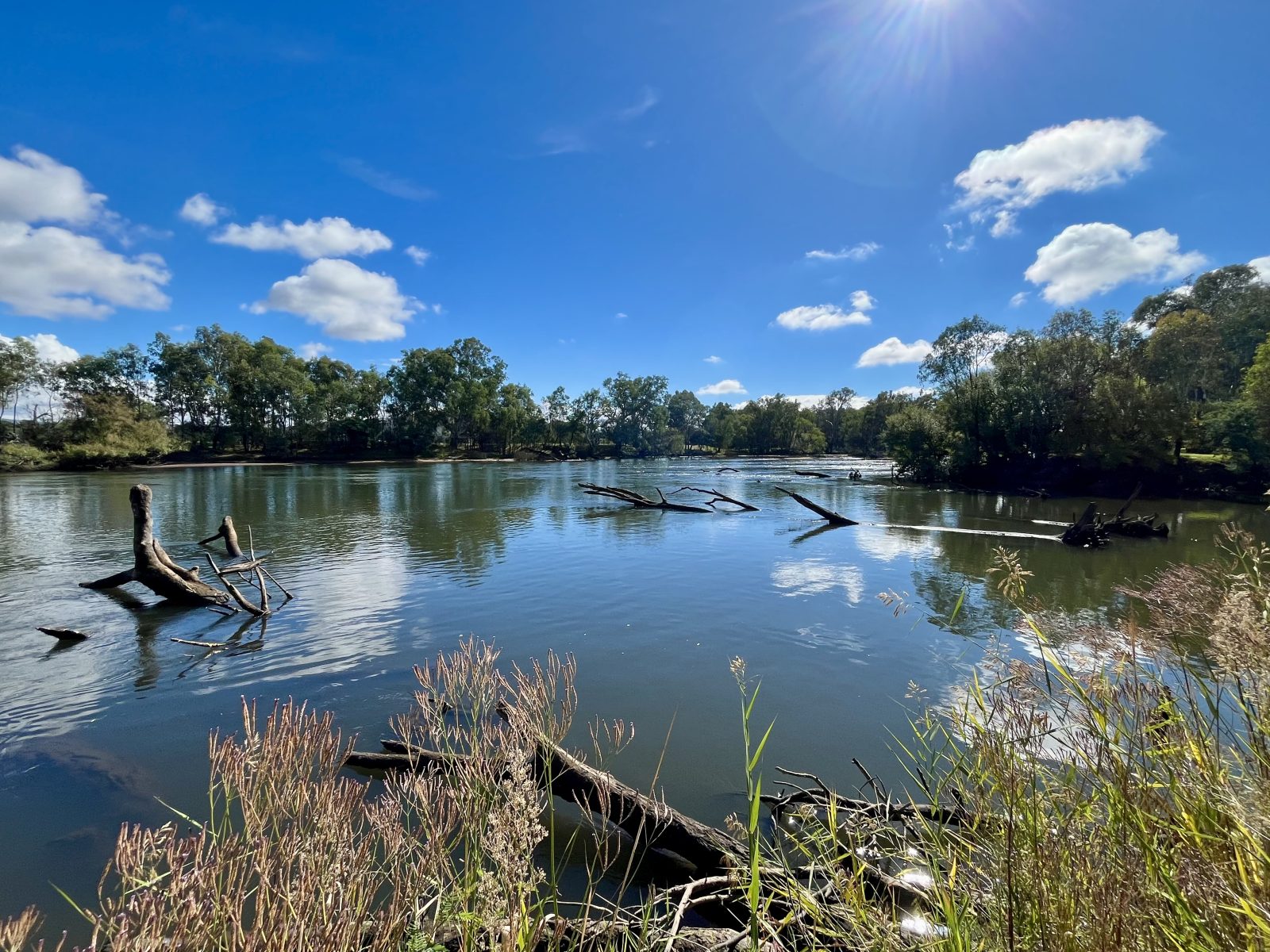Wetlands Ecosystem