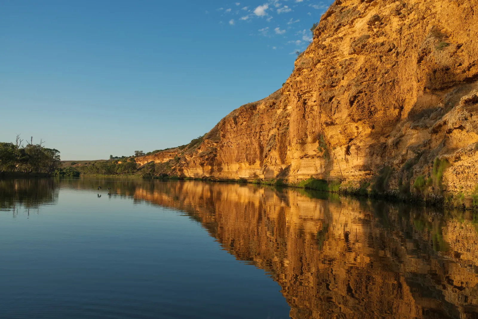 River Murray Cliffs