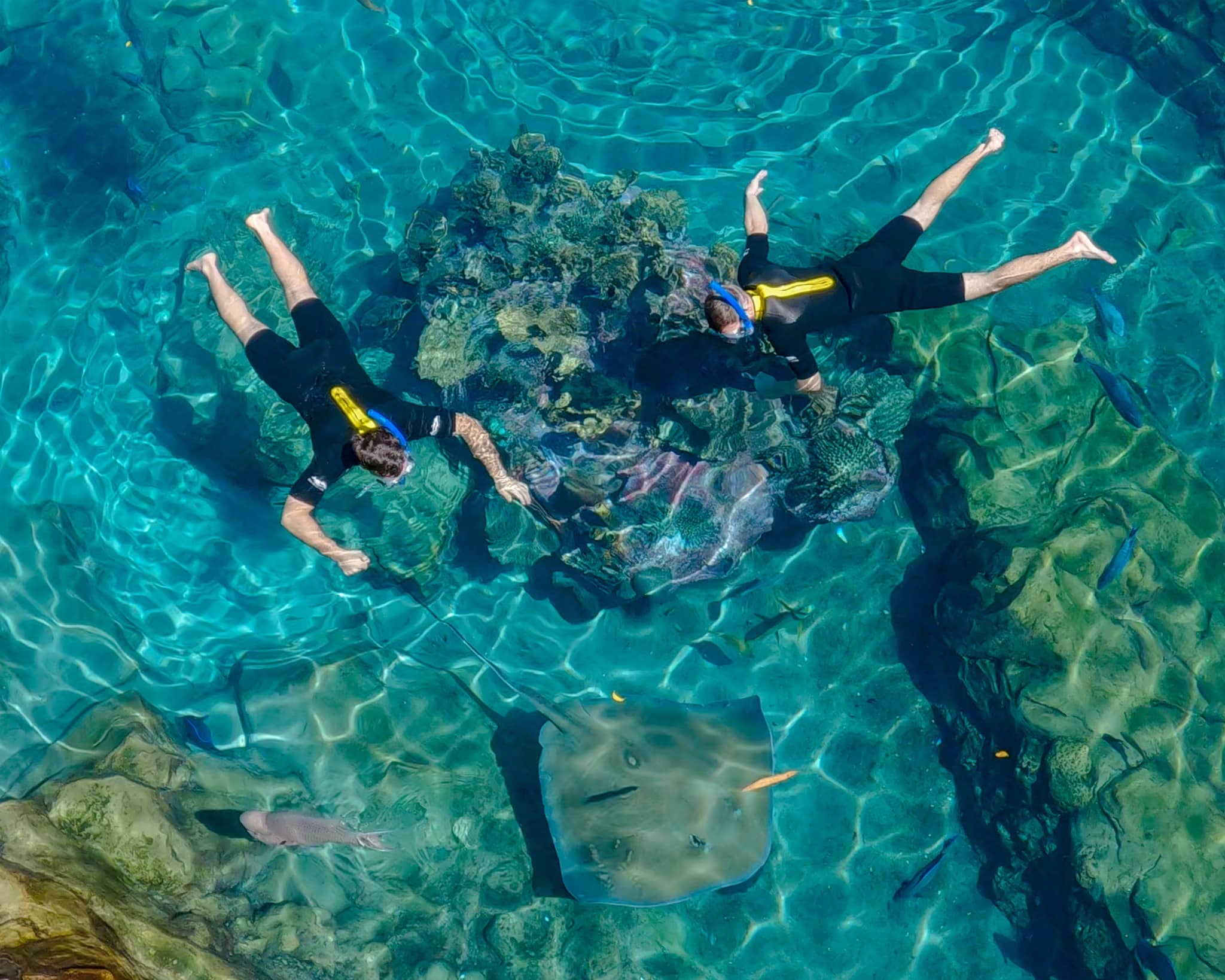 Grand Reef