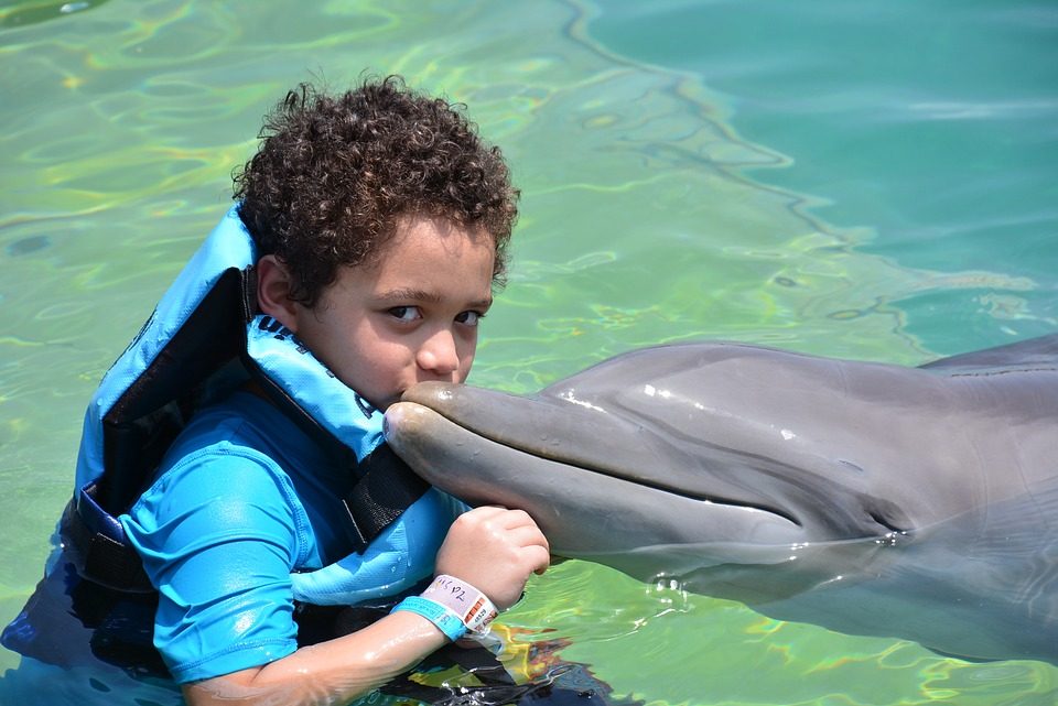 Swimming With Dolphins Orlando