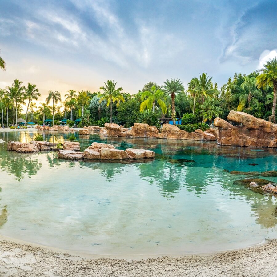 Tropical River Lagoon