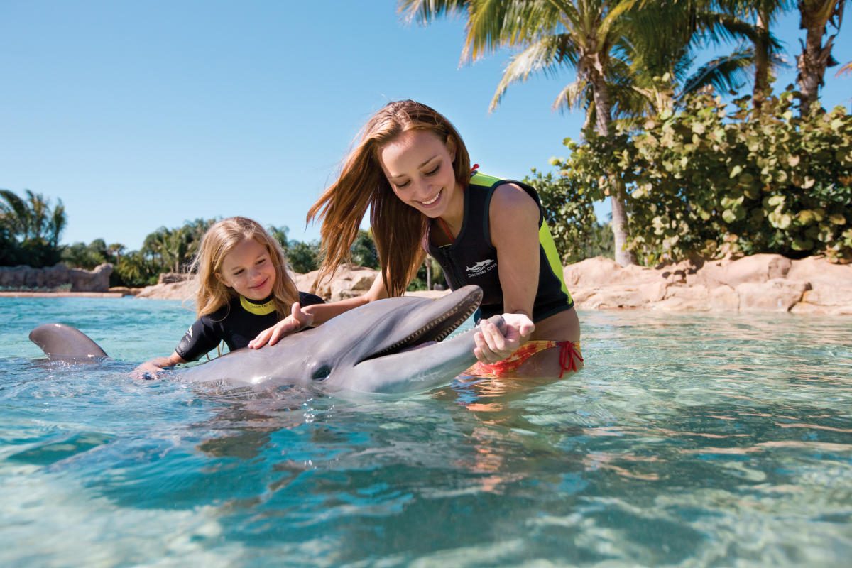 Dolphin Lagoon Shoreline