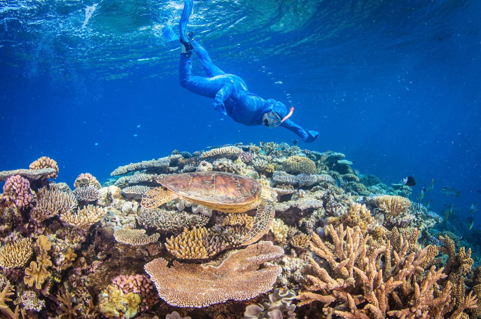 Second snorkeling session