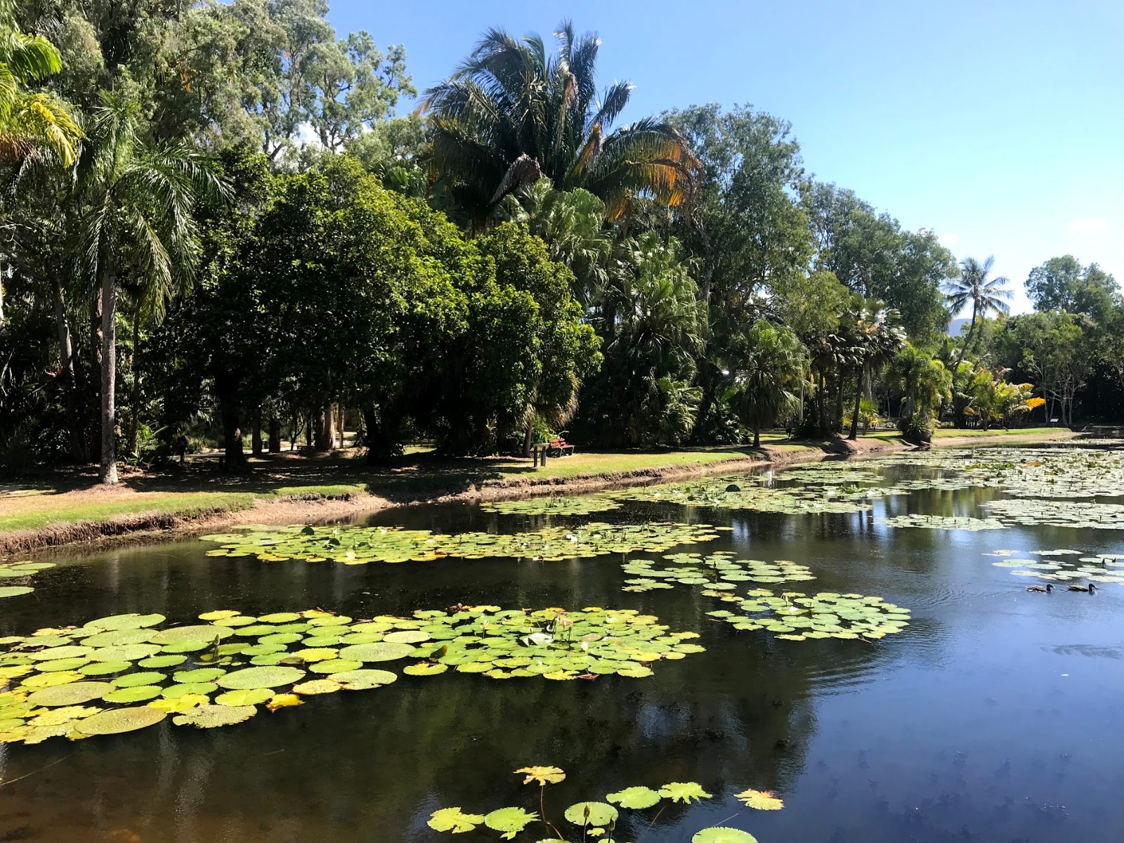 Flecker Botanic Gardens