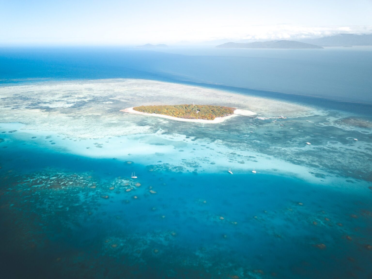 Michaelmas Cay