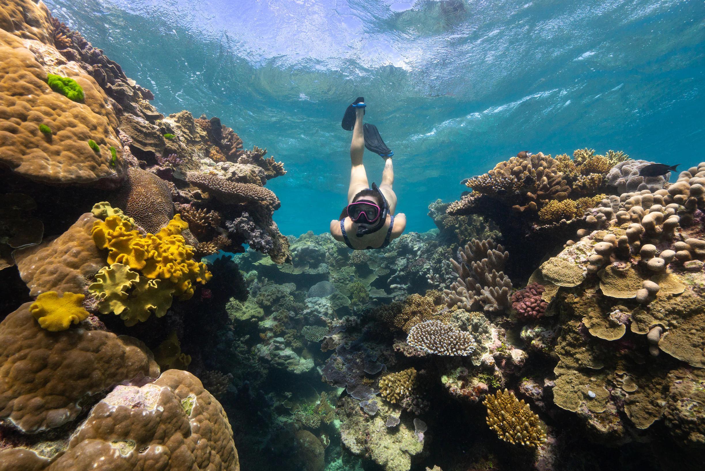 First snorkeling session