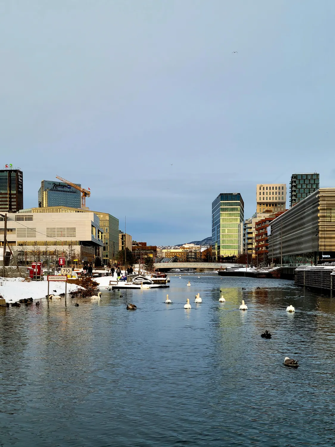 Bjørvika district